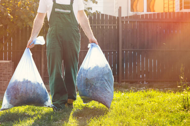 Best Electronics Removal Services  in Clewiston, FL